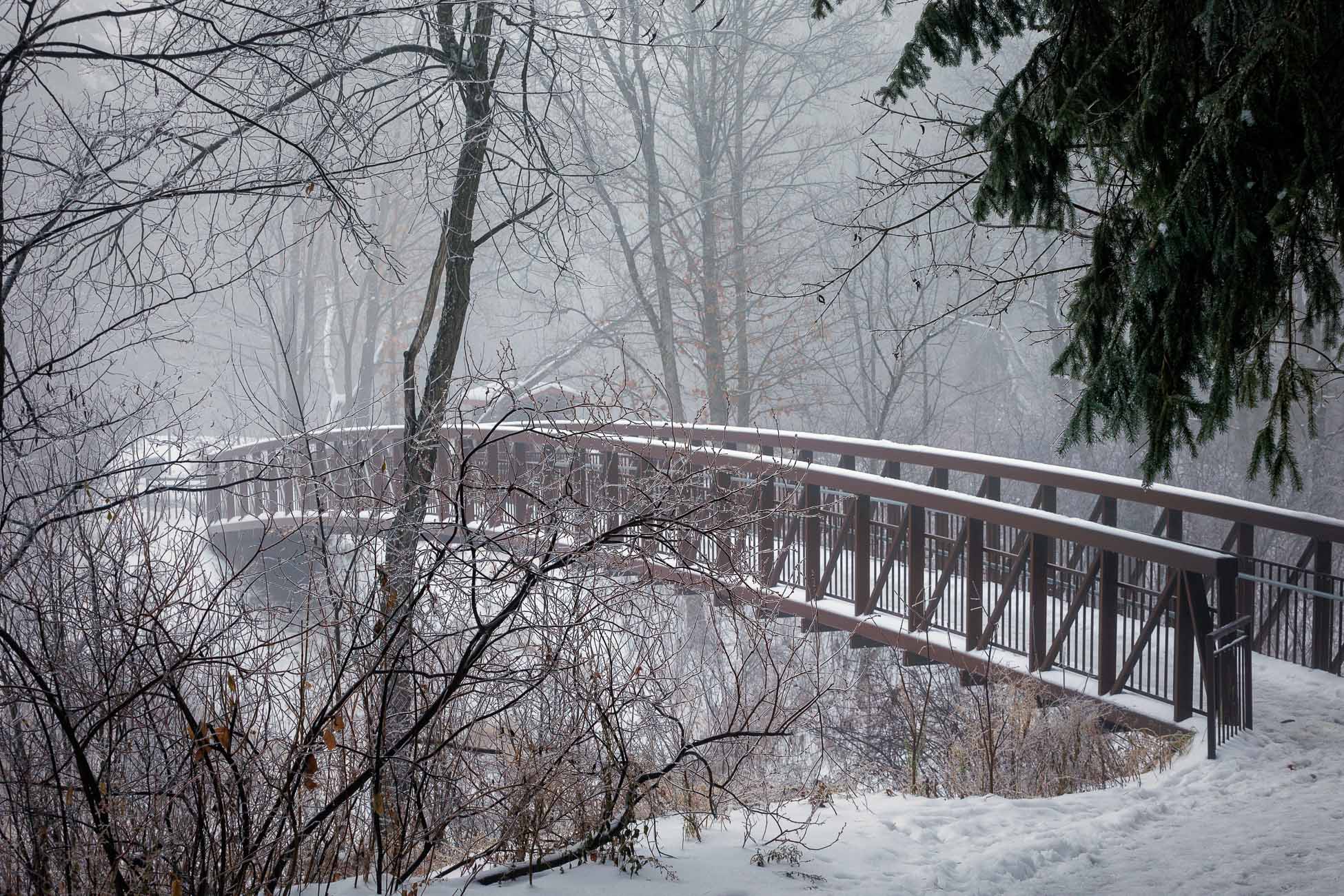 La brume hivernale