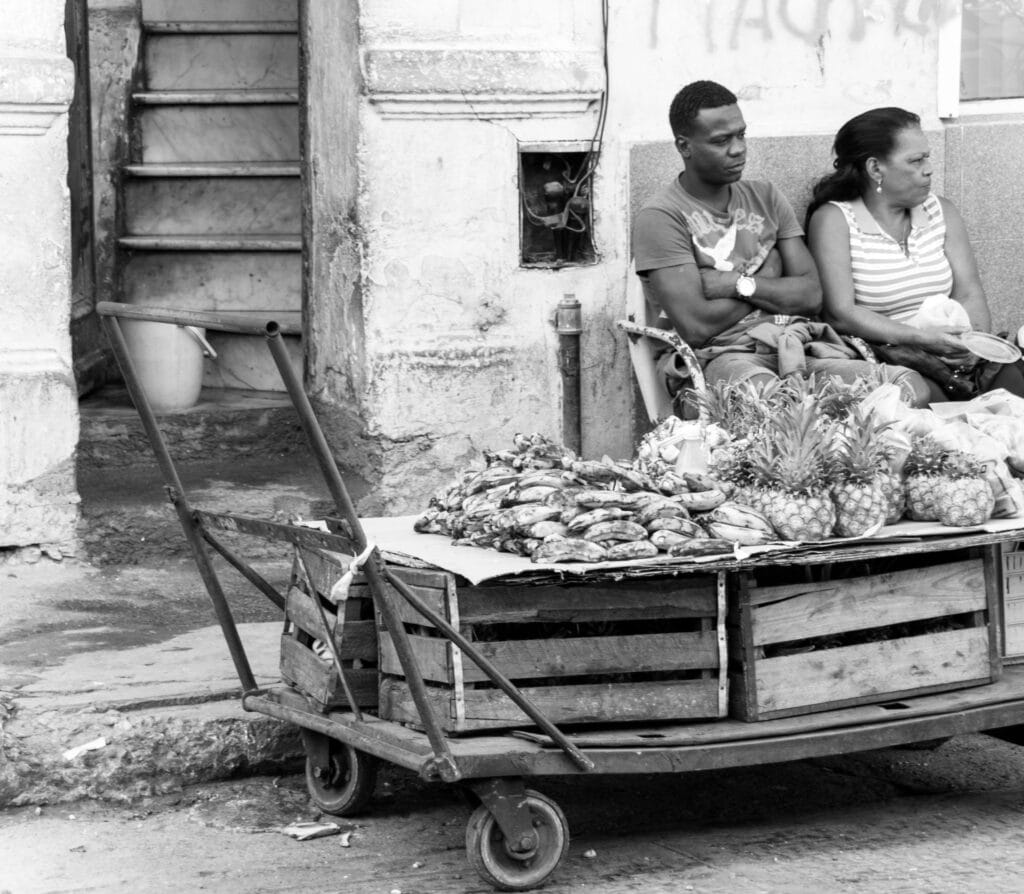 Le Marchand de Fruits