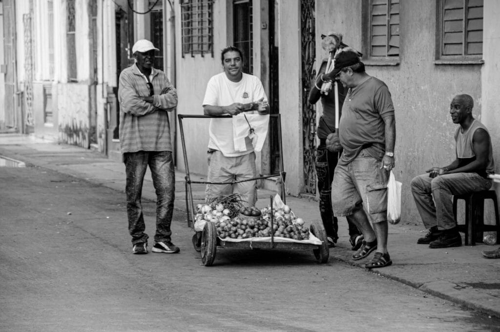 Le Marchand de Fruits